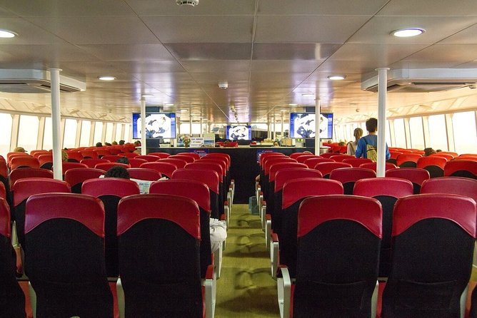 Krabi To Koh Tao(Tao Island) by Bus and Ferry - Reaching Koh Tao: what arrival looks like
