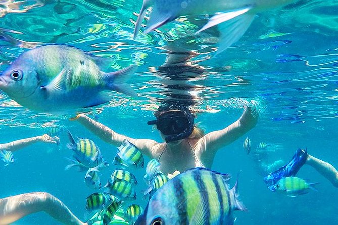 Krabi to Phi Phi Islands by Speedboat - Crowds on Phi Phi: how to enjoy it without getting annoyed