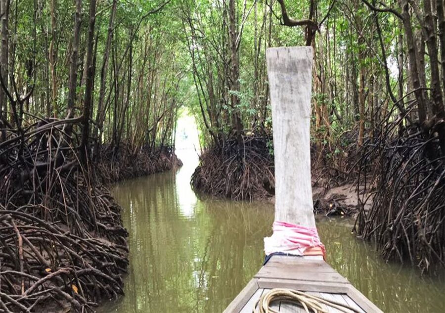 Krabi: Twin Mountains & Koh Klang Local Community Tour - Lunch at Baan Mah Ying: set-menu seafood as a practical win
