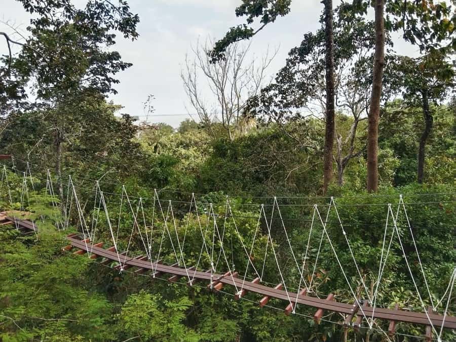 Krabi Zipline adventure - Getting There From Ao Nang or Krabi Town With Private Taxi All Trip