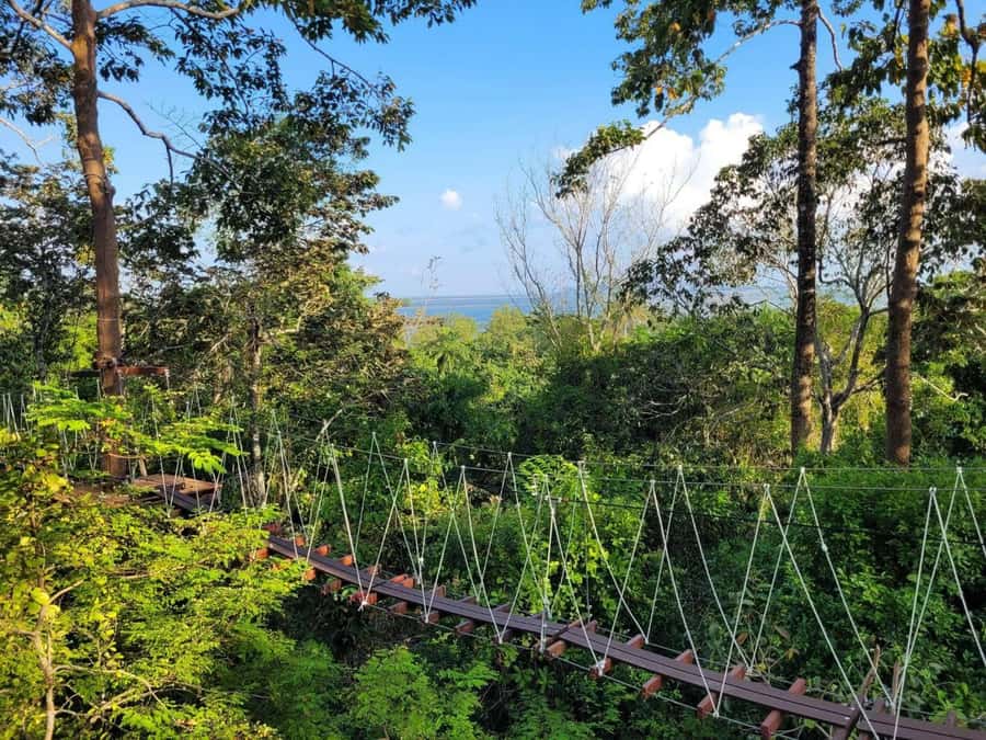 Krabi Zipline adventure - Forest Games and the Up-To-17 Challenge Feeling
