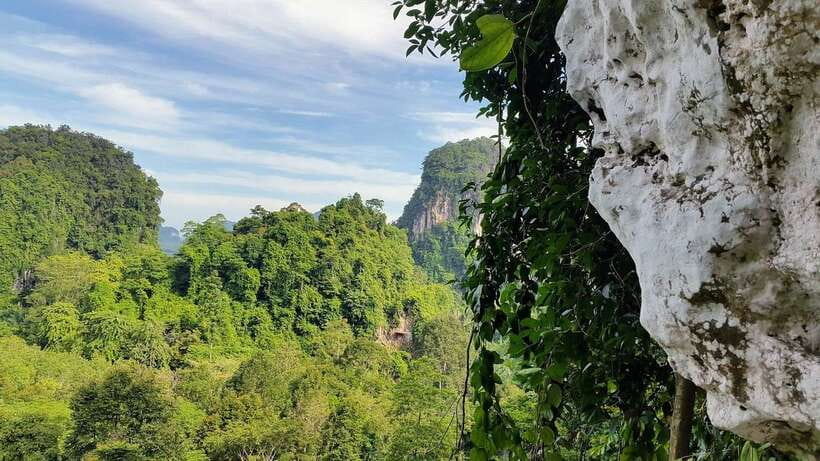 Krabi: Ziplining with Abseiling and Rock Climbing Options - Rock climbing on top rope: confidence comes from having two instructors