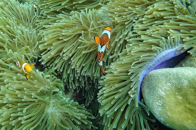 Lanta 4 Islands + Emerald Cave Snorkeling Tour - Emerald Cave expectations: timing, effort, and comfort in the water