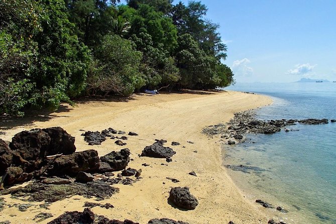 Lanta Mangrove Tour with Sea Cave Kayaking at Koh Talabeng - Wildlife moments that feel respectful (and memorable)