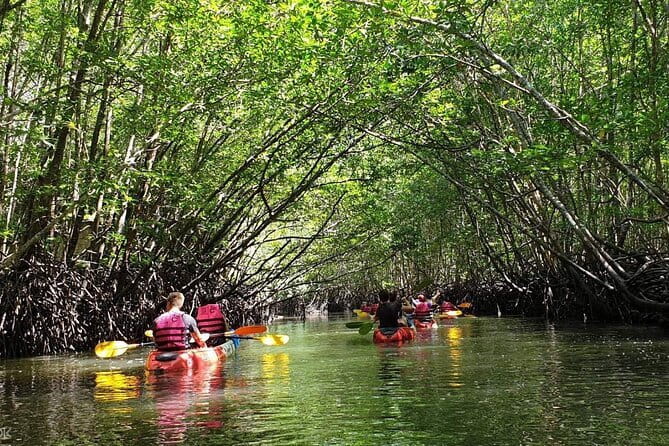 Mangrove Tour by Kayaking in Ko Lanta With Lunch - Key highlights I’d plan around