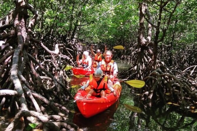 Mangrove Tour by Kayaking in Ko Lanta With Lunch - Mangrove Kayaking at Tung Yee Peng: The Real Point of the Trip