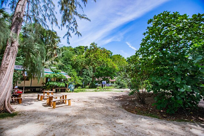 Maya Bay, Monkey Bay and Phi Phi Island Snorkeling Tour from Koh Lanta - Ao Ton Sai Pier lunch and downtime: where the day slows down