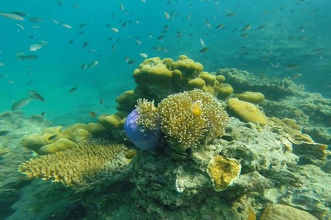 Oneday Tour 4 Islands and Emerald Cave By Tin Adventure Sea Tour from Koh Lanta - Key takeaways before you go