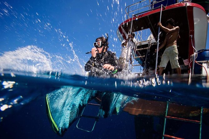 PADI Discover Scuba Diving Experience Full Day Trip - Timing, pickup, and what your 8-hour day feels like