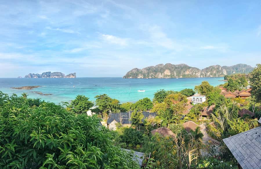 Phi Phi: Guided Jungle Trek & Night Swim with Plankton - Key points before you go