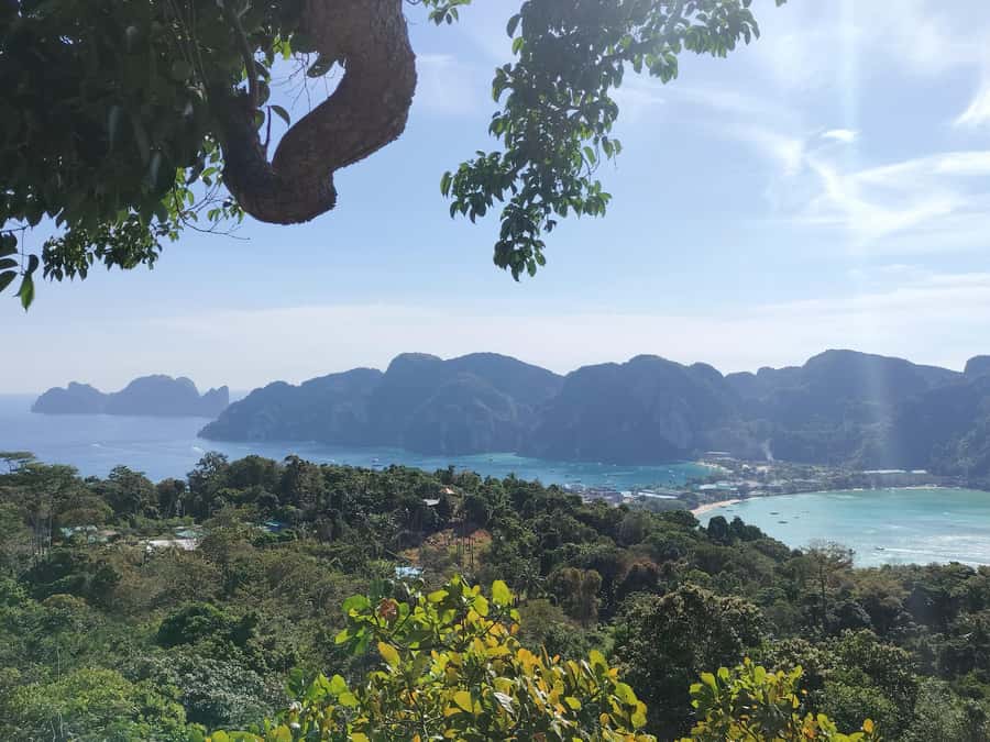Phi Phi: Guided Jungle Trek & Night Swim with Plankton - What to pack (and what to plan for in the jungle)