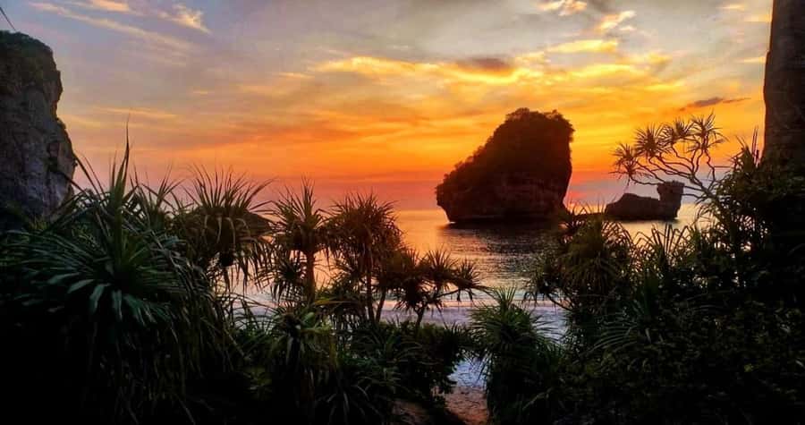 Phi Phi: Guided Jungle Trek & Night Swim with Plankton - Who this Phi Phi trek is best for