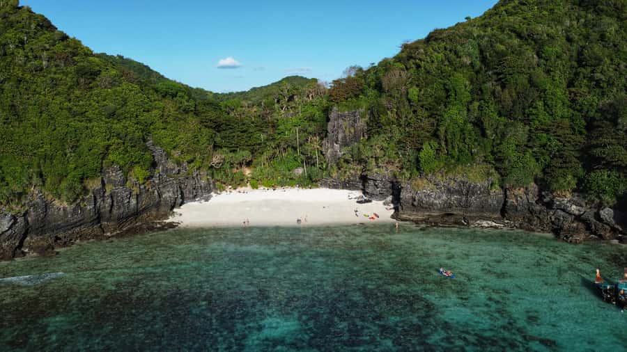 Phi Phi: Guided Jungle Trek & Night Swim with Plankton - Should you book Jungle Trek & Night Swim with Plankton?