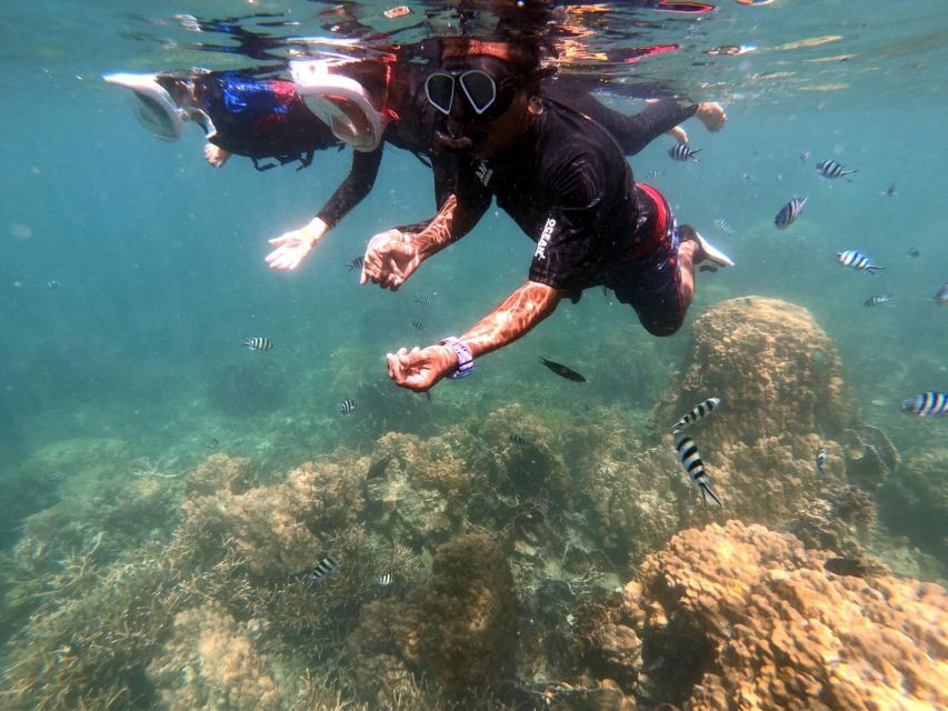 Phi Phi: Half-Day Phi Phi Snorkeling Trip by Longtail Boat - Pi Leh Lagoon: A Secluded Lagoon Look You Can’t Get by Land