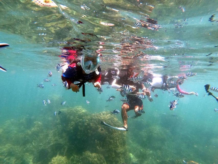 Phi Phi: Half-Day Phi Phi Snorkeling Trip by Longtail Boat - Maya Bay: The Big Name, With Coral-Recovery Expectations