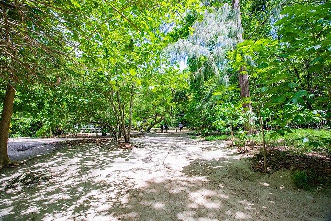 Phi Phi Island and Bamboo Island Snorkeling Tour From Krabi - Viking Cave: quick cave views and a photo-friendly stop