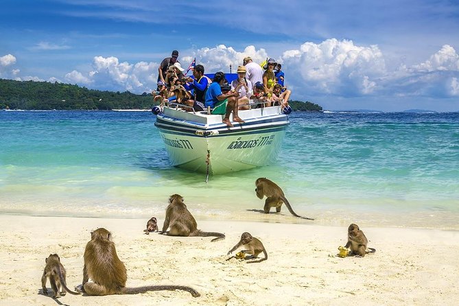 Phi Phi Island Tour by Speedboat from Krabi with Lunch (SHA Plus) - Ko Phi Phi Don lunch hour: where the day slows down