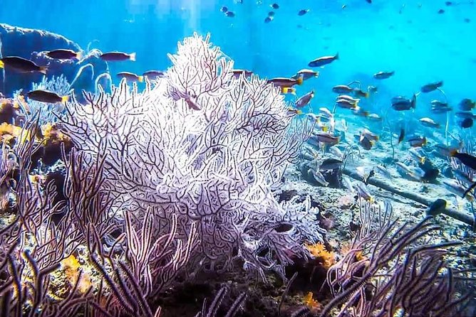 Phi Phi Tour from Krabi , Semi-Private Tour only 12 Guests - Weather, crowds, and why Maya Bay needs mental flexibility
