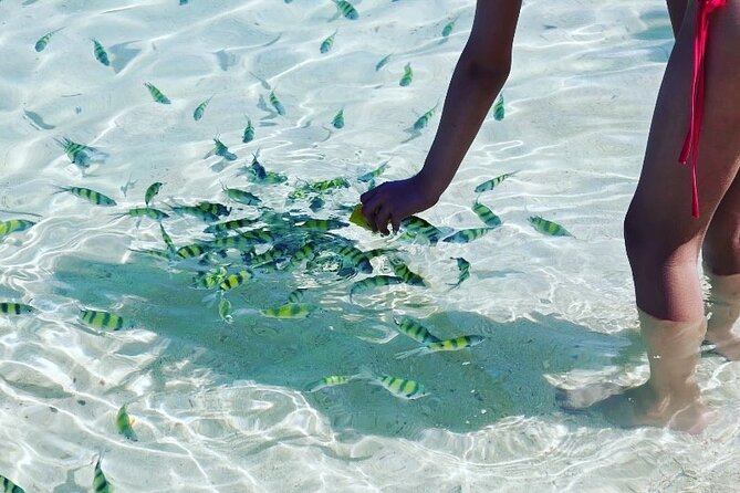 Private Longtail Boat Tour to Hong Islands - Stop 1: Ko Hong (Hong Beach, snorkeling, and mangrove exploring)