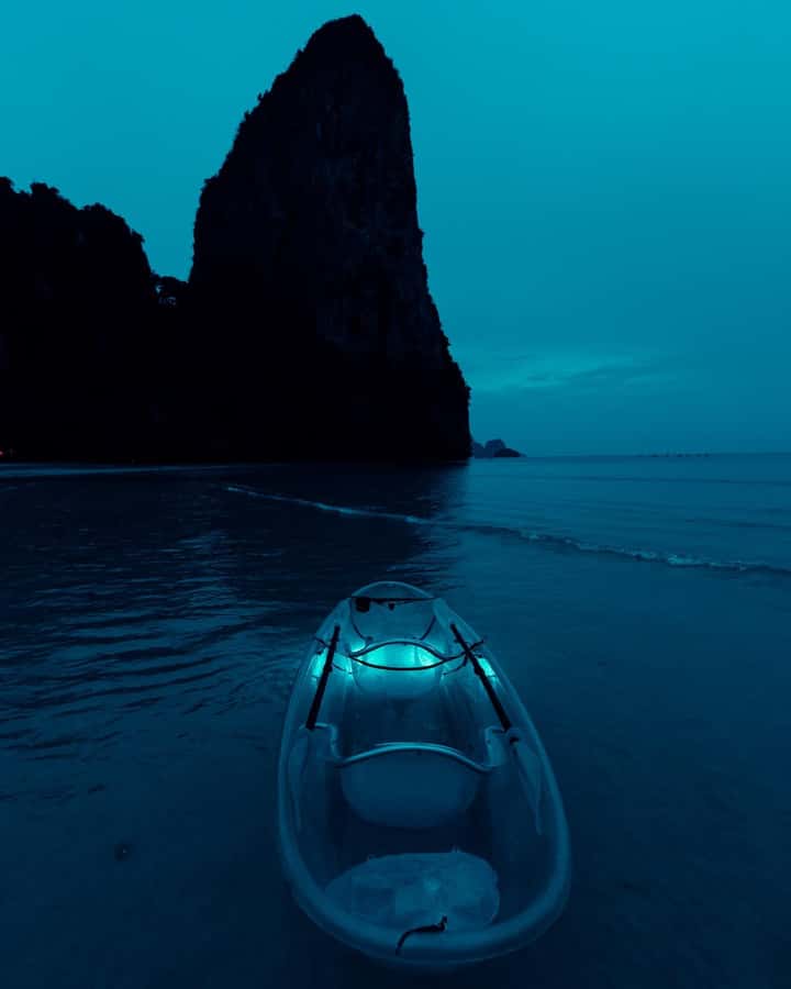 Railay: Illuminated Clear Kayak Night Tour Bioluminescence - Bioluminescent plankton: how the glow actually works