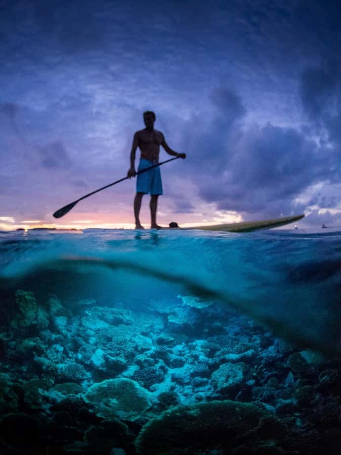 Railay: Illuminated Clear Kayak Night Tour Bioluminescence - Price and value: what $73 buys on a 2-hour night tour
