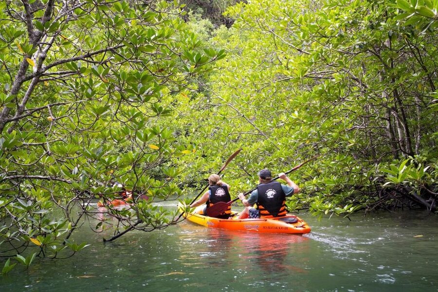Sea Kayaking in Ao Thalane & Optional Full-Day Hong Island - Paddling Through Ao Thalane’s Narrow Channels
