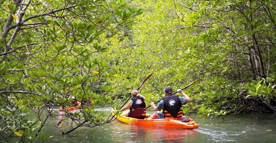 Sea Kayaking in Ao Thalane & Optional Full-Day Hong Island - Hong Island Option: Limestone Towers and Snorkel Time