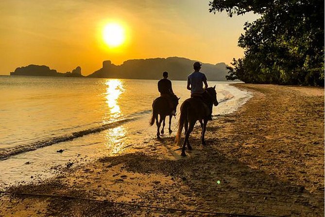 Sunset Horse Riding And BBQ Dinner Tour At Ao Nam Mao Beach Krabi - The Horse Farm Setup: Matching You With the Right Horse