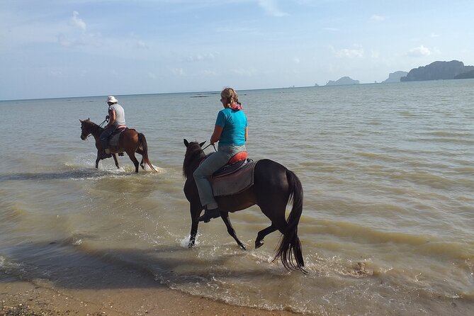 Sunset Horse Riding And BBQ Dinner Tour At Ao Nam Mao Beach Krabi - Optional Horse Swimming: A Special Add-On With a Price Tag