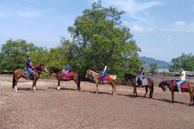 Sunset Horse Riding Tour at Ao Nam Mao Beach Krabi - Price and value: what $68.96 really buys in Krabi