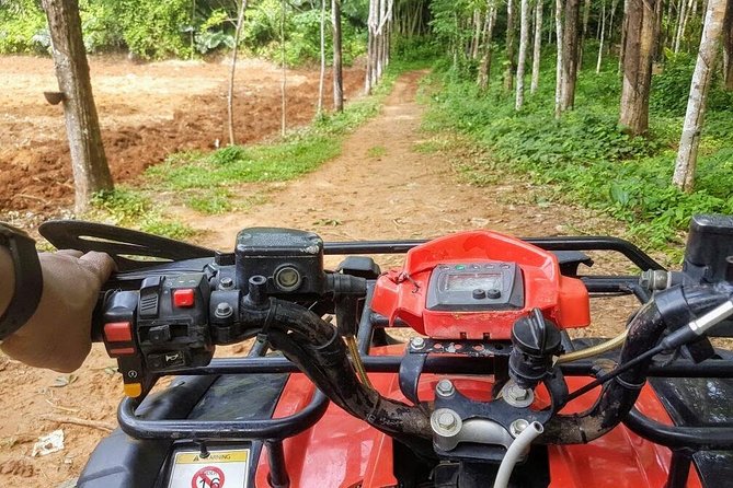 Thrilling Zipline Adventures at Thai'd Up in Krabi's Lush Jungle - Zone A + B Half-Day: Zip, Tree Ladder, and a 60-Meter Abseil