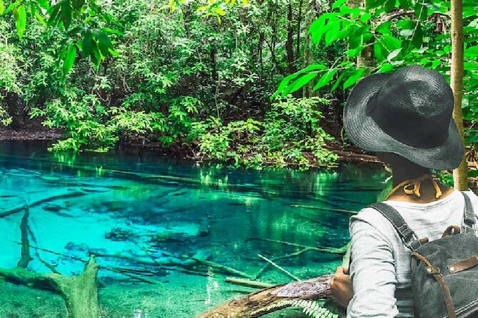 Tiger Cave Temple, Emerald Pool & Hot Springs Tour from Krabi - Key highlights worth getting excited about