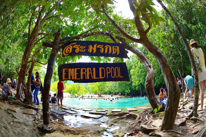 Tiger Cave Temple, Emerald Pool & Hot Springs Tour from Krabi - How the Krabi day trip flows (and why the timing matters)