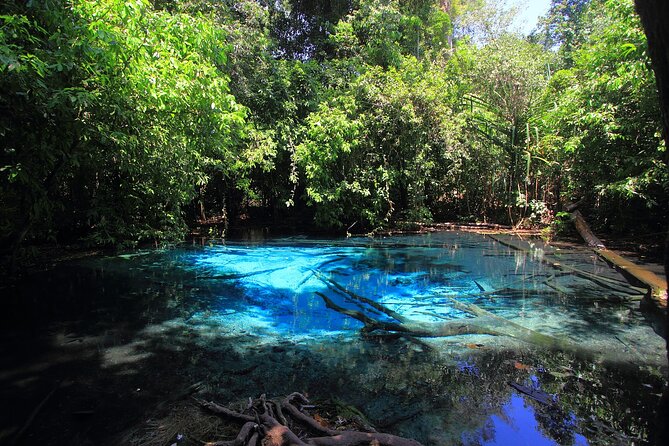 Tiger Cave Temple, Emerald Pool & Hot Springs Tour from Krabi - Emerald Pool: swim in blue-green mineral water with a forest backdrop