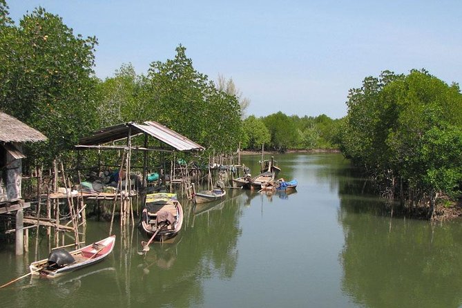 Tung Yee Peng Mangrove Forest Tour By Longtail Boat From Koh Lanta - Longtail Boat Time in an Officially Protected Mangrove Forest