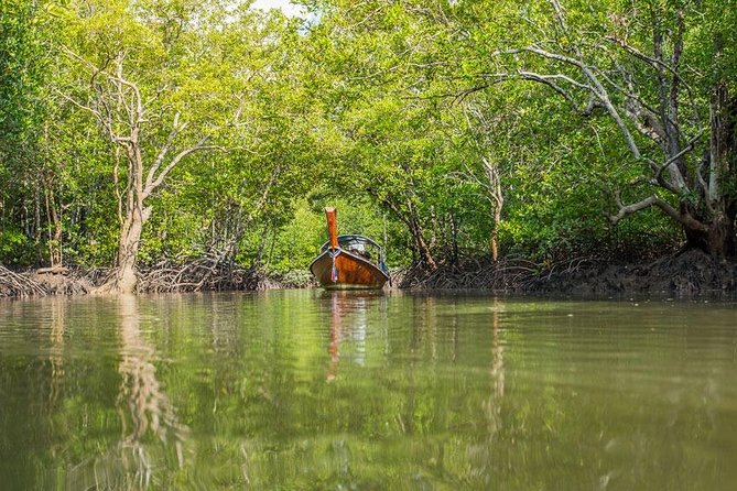 Tung Yee Peng Mangrove Forest Tour By Longtail Boat From Koh Lanta - The Monkey Point Stop: Swimming and Simple Wildlife Magic