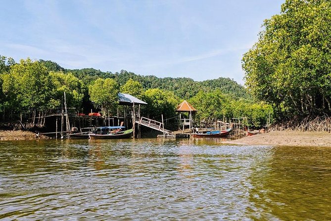 Tung Yee Peng Mangrove Forest Tour By Longtail Boat From Koh Lanta - Price and Value on Koh Lanta: What $42.24 Buys You