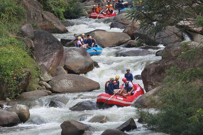 White Water Rafting and Waterfall Tour From Krabi - Stop 2: Wat Suwan Kuha Cave Temple in Phang Nga Forest
